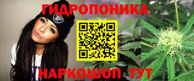 ALPHA PVP Кинель